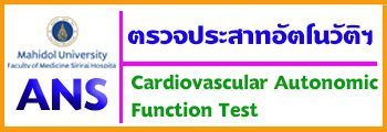Cardiovascular Autonomic Function Test"
